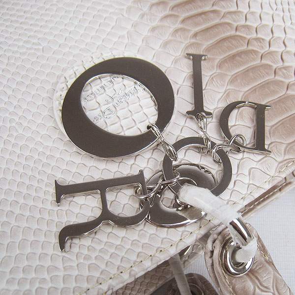 Christian Dior 1886 Snake Leather Shoulder Bag-Gray - Click Image to Close